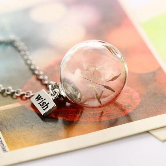 5/$25 Wish Bottle Real Dandelion Seeds Necklace - Picture 2 of 15